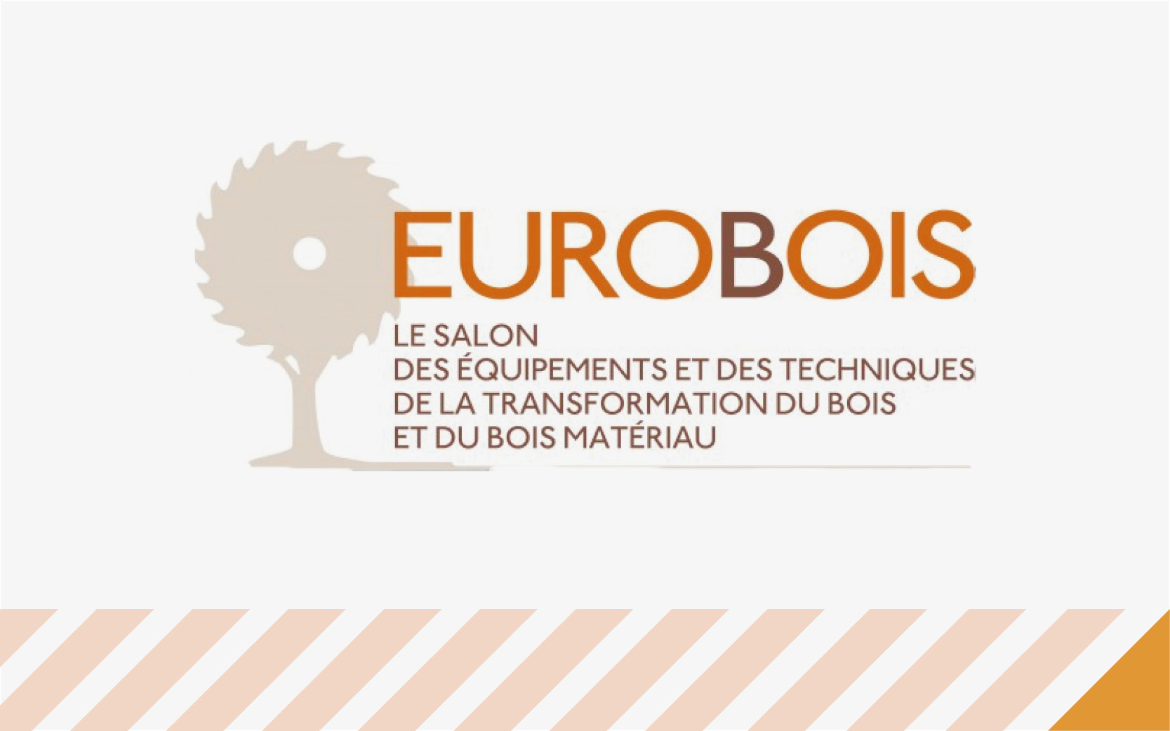 Nachrichtenbild: EUROBOIS 2020, Lyon